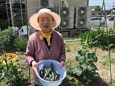 写真：土田さん夏野菜収穫.jpg