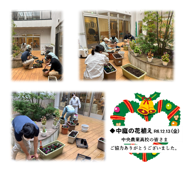 中庭の花植えR6.12.png