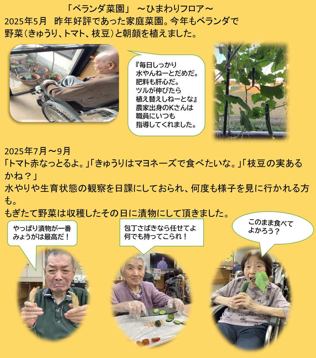 家庭菜園.png